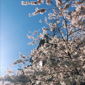 Bundle Discounts Offered